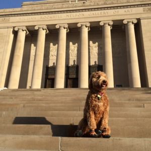 Meet your Posher, Caroline